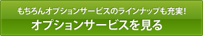 もちろんオプションサービスのラインナップも充実！